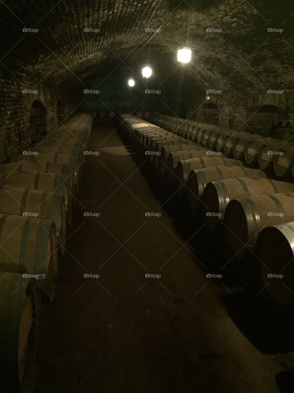 Wine Cellar. Wine Cellar at Concha y Toro Winery in Santiago, Chile