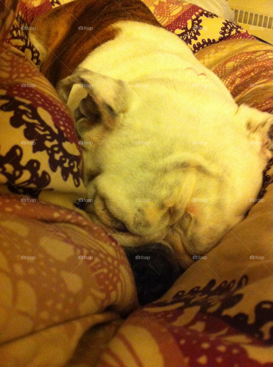 Blankets always make naps better 

