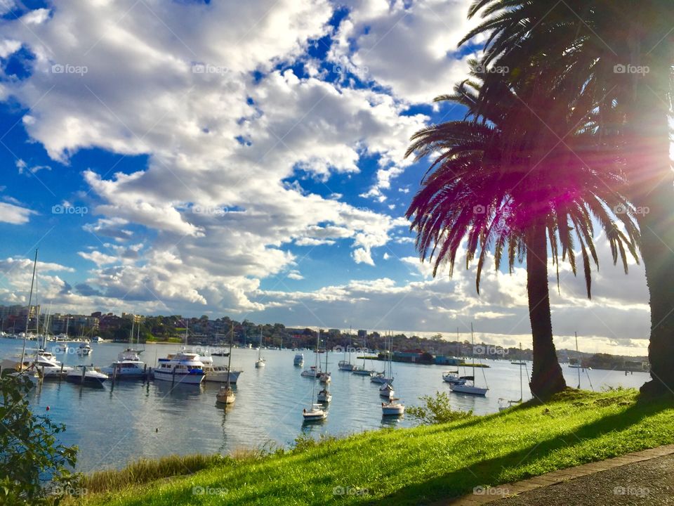 In the Summer time, I need to be arounds boats in ocean, a quiet beach, grass and a tropical palm tree! 