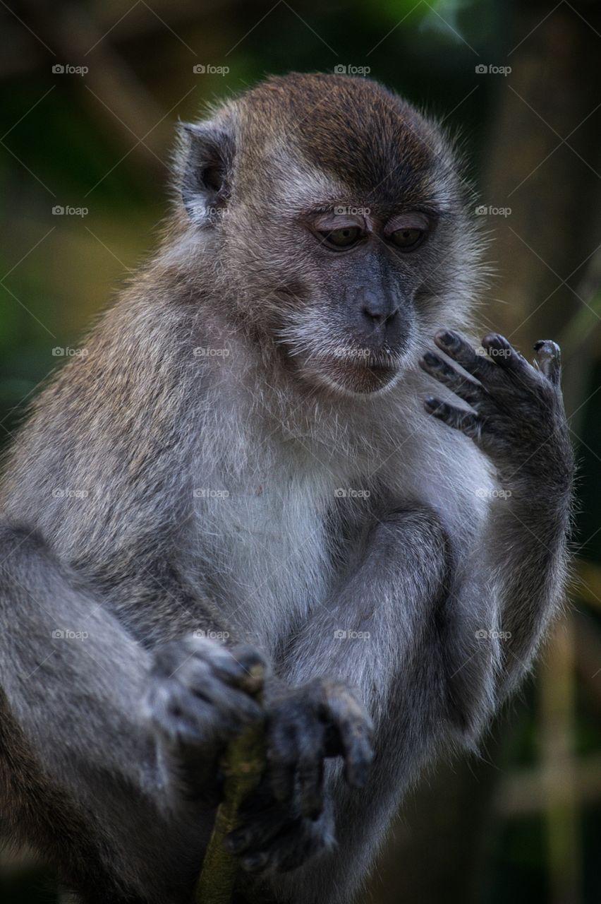 I had two of these earlier