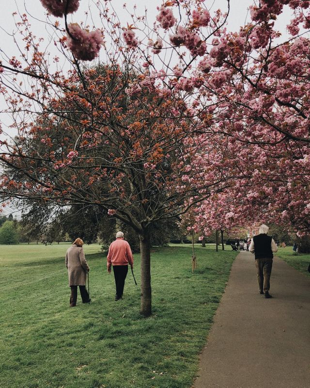 park