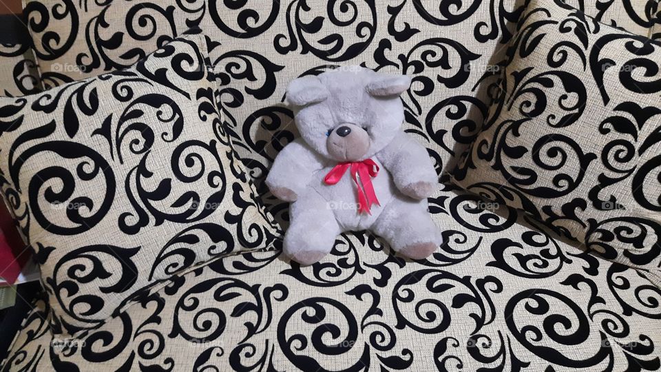 Teddy bear is sitting  on the sofa ..