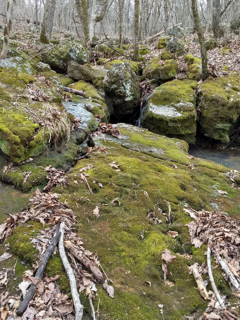 Mossy rocks in a creek.  State Park