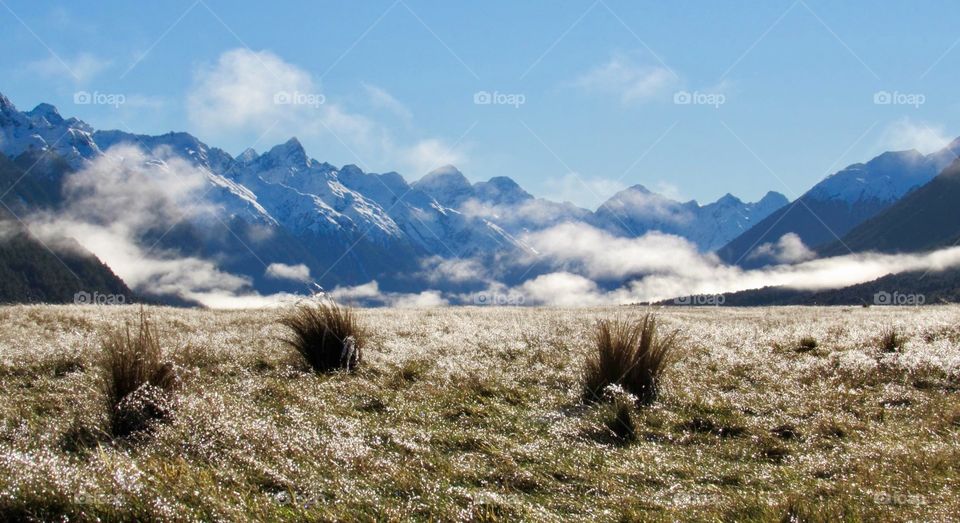 Even the roadside view in New Zealand is stunning. This picture was taken on the road between Te Anau and Milford Sound.