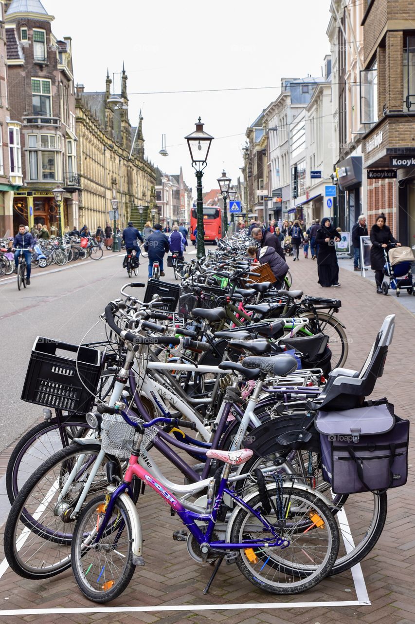 Bicycles in the street