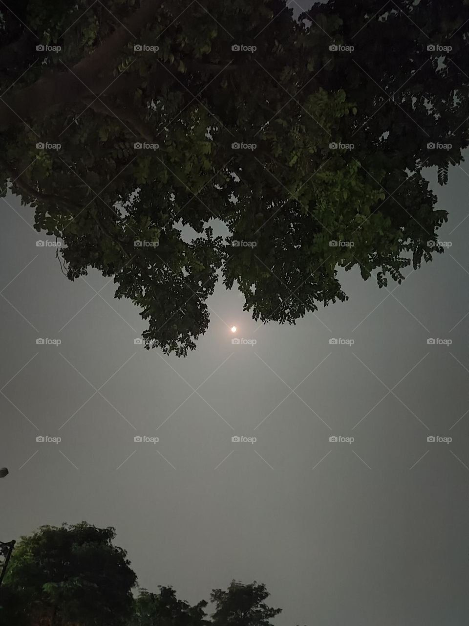 moon in the dark sky