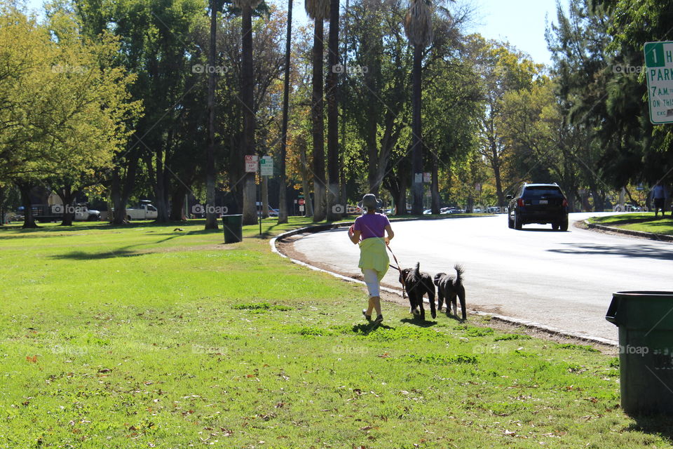 photo stories in my city