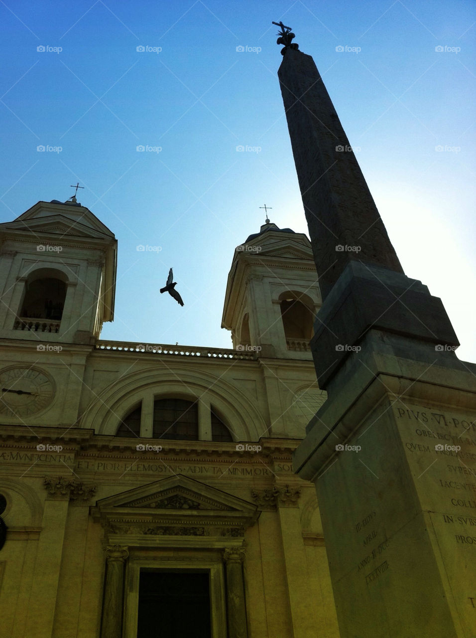 church rome bird dove by inmacasado
