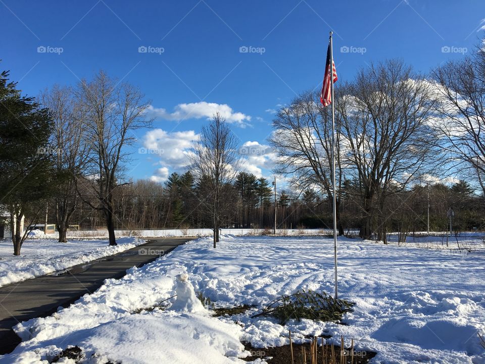 Snowy yard with flag