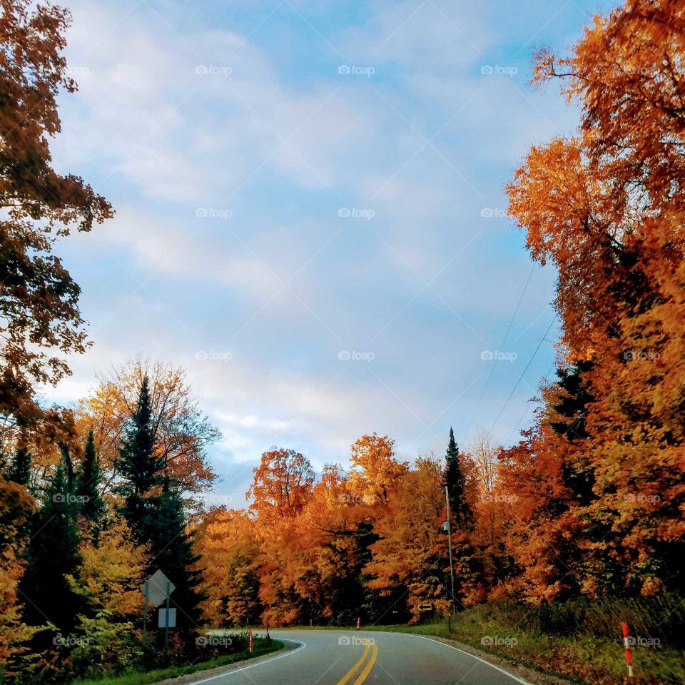 Peak coloring change of leaves Northern Michigan orange red gold Blue Sky highway scenic park