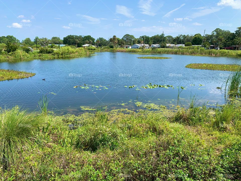 Urban Nature Water At The Draa Field Stormwater Park In The City For The Ecosystem To Provide A Water Quality Benefit To The Indian River Lagoon And To Reduce Flooding Within The Basin, In Florida.