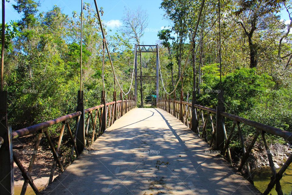 Hanging bridge in the rainforest of Costa Rica.  Dominance of geometric shapes: triangle, rectangle, and semicircular