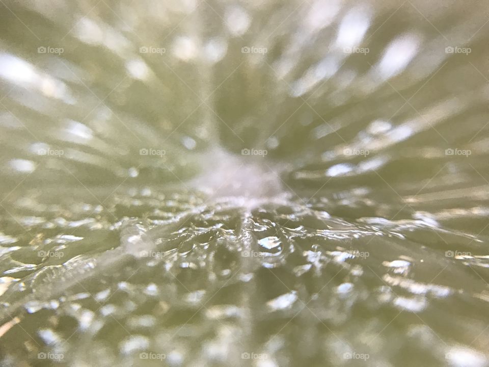 Extreme close-up of a lemon slice