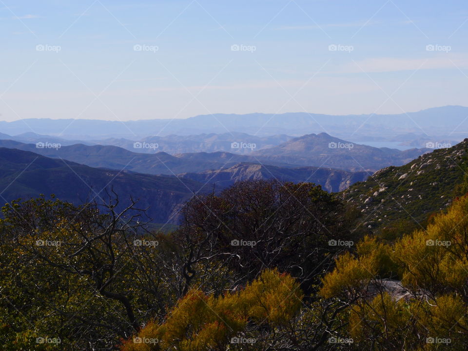 San Bernardino National Forest 3