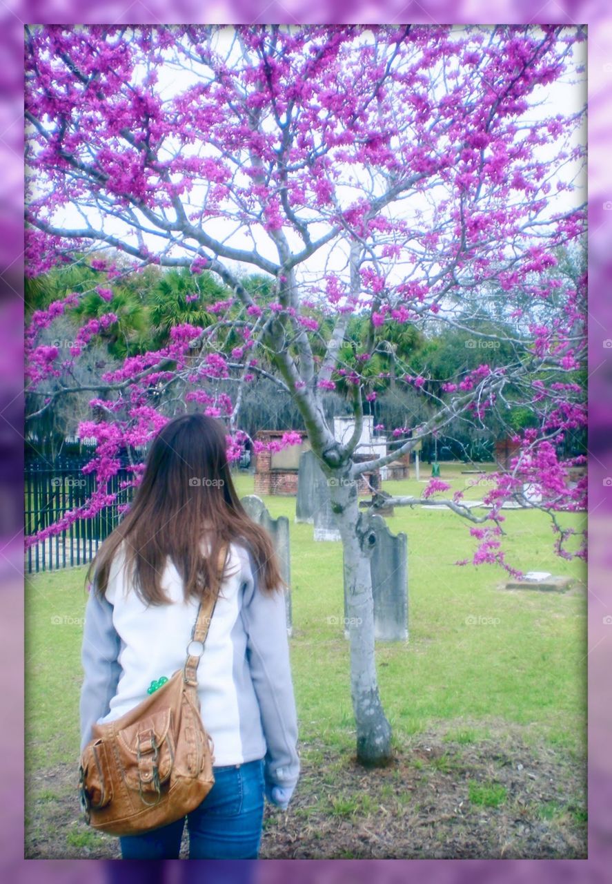 Girl in front of purple tree in cemetery in Savannah, Georgia