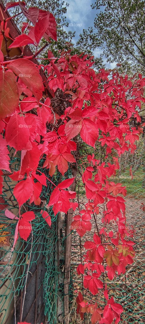 Rimini Italy autumn 2021