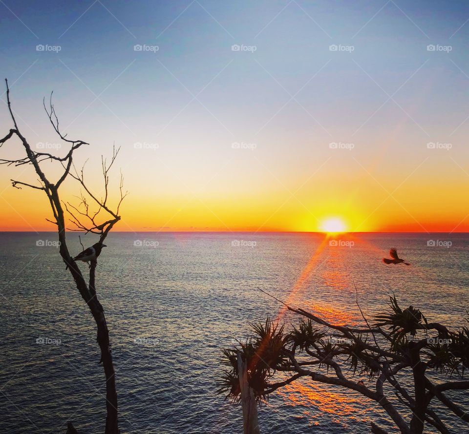 Sunrise on the sea with two birds