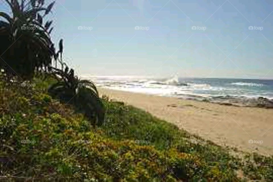 Durban Beach