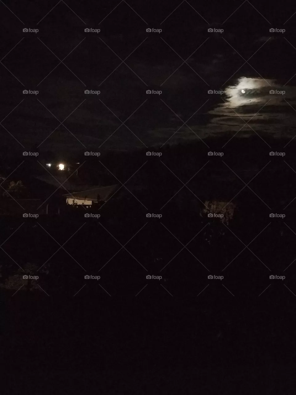 night