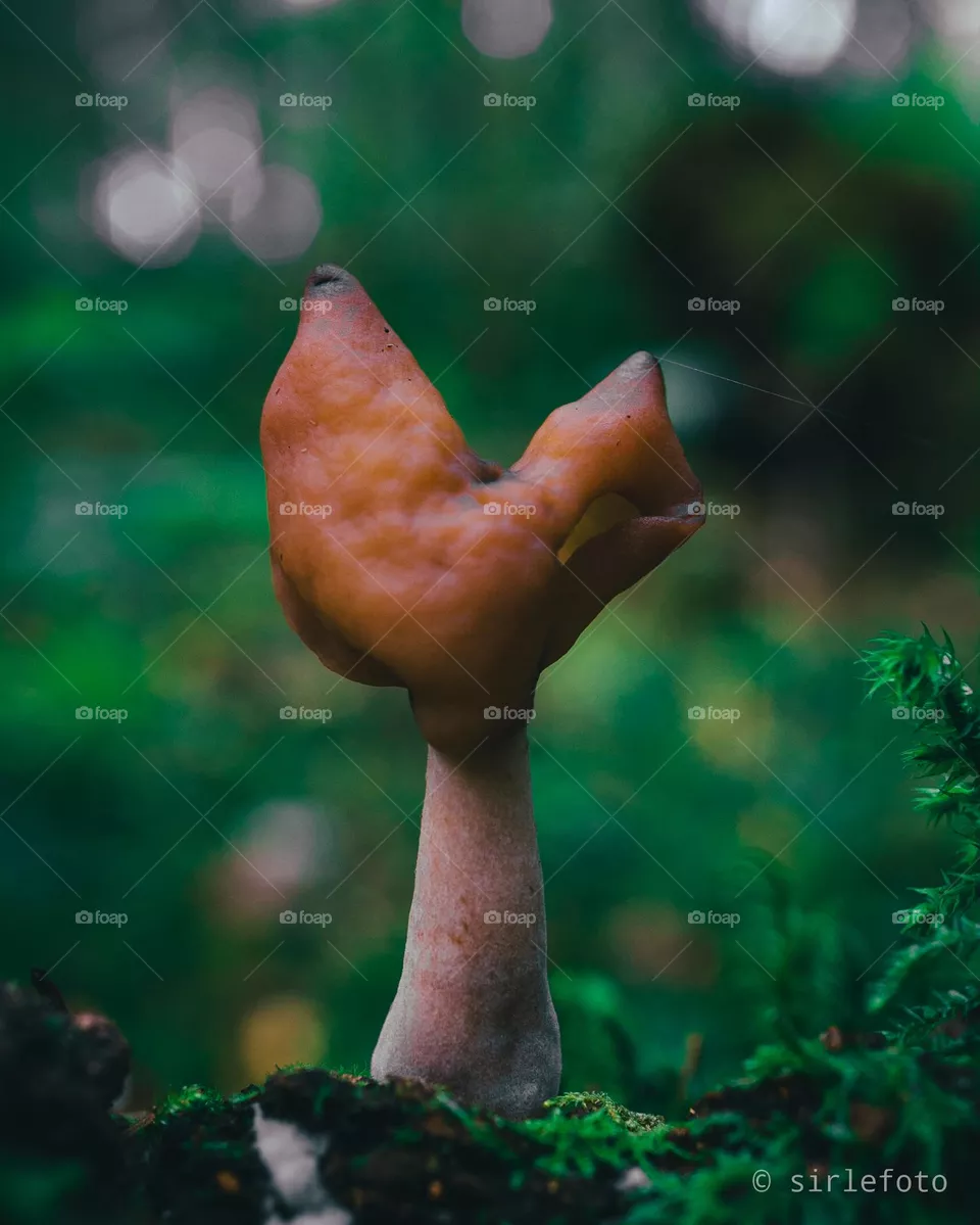 Upwars