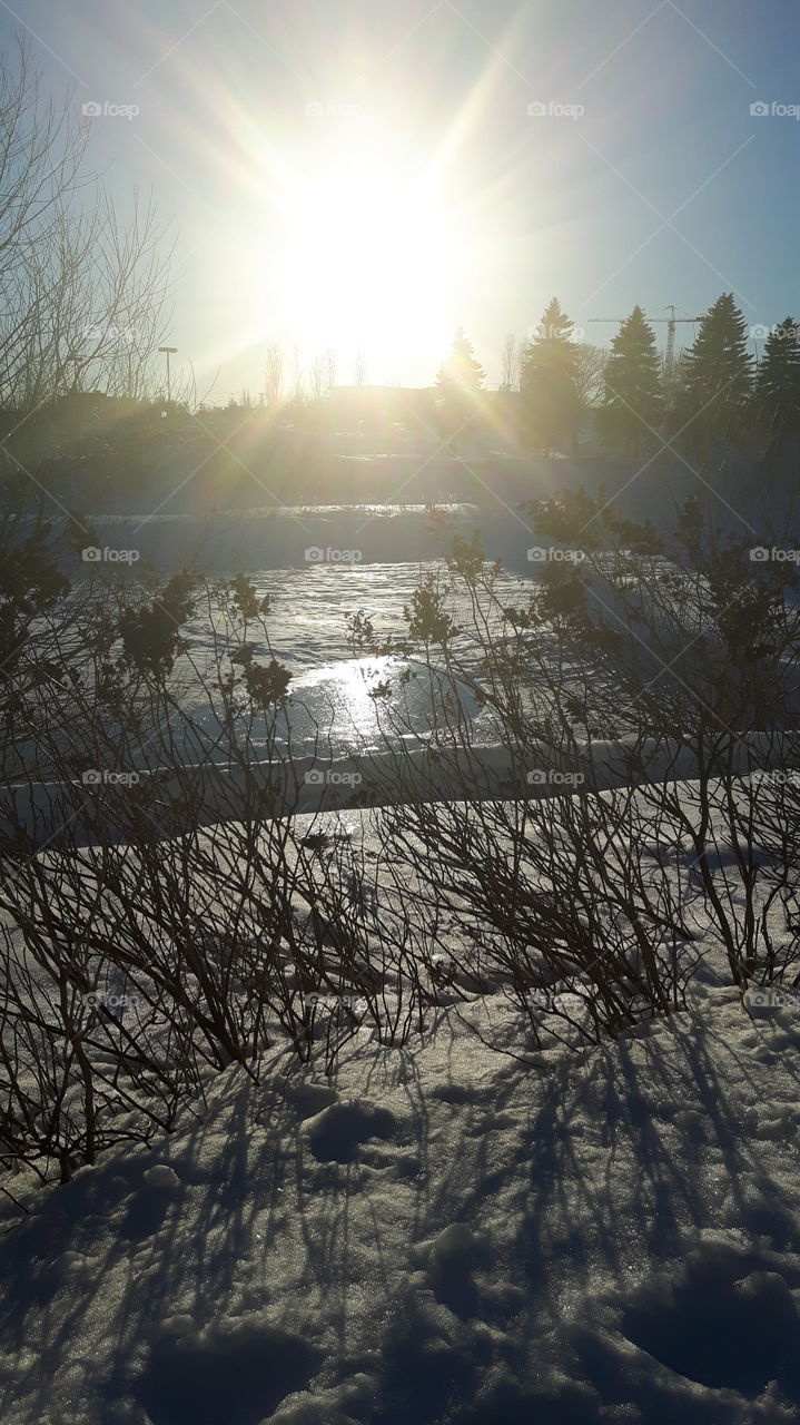 sun on the snow!