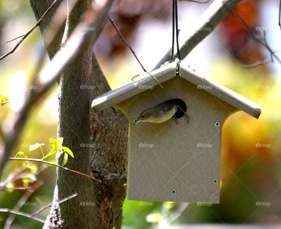 birdhouse