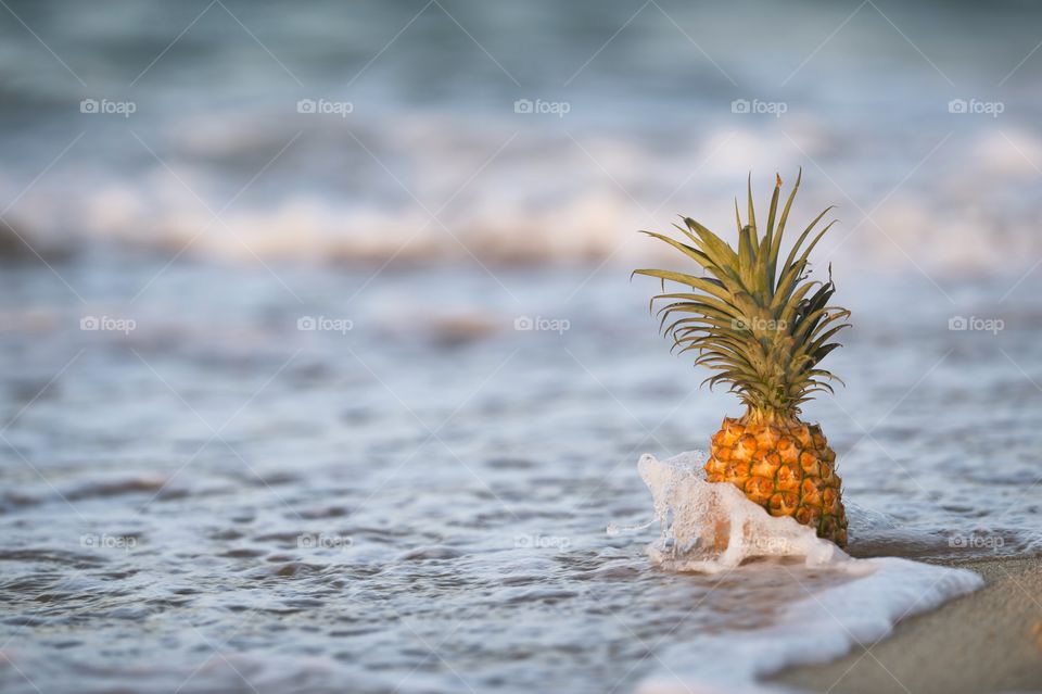 Pineapple Paradise