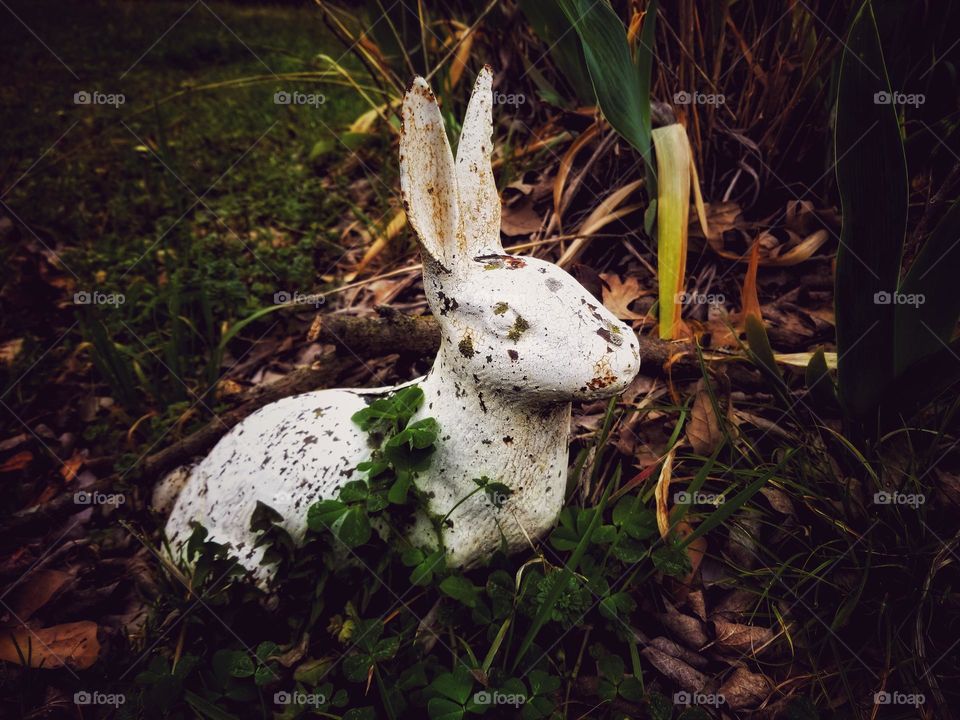 Cast Iron Yard Art White Rabbit with Clover Growing Around It