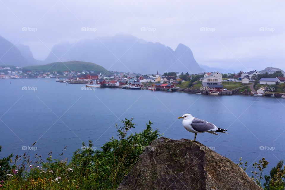 Lofoten Norway 