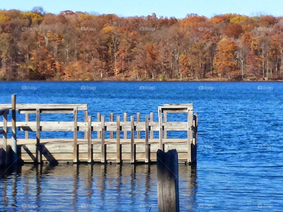Autumn Foliage at Lake La Su Ann . We traveled to a lovely metropark to catch some pictures of the fall colors. 