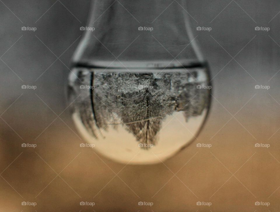 Editor's Choice: Photo of the Week