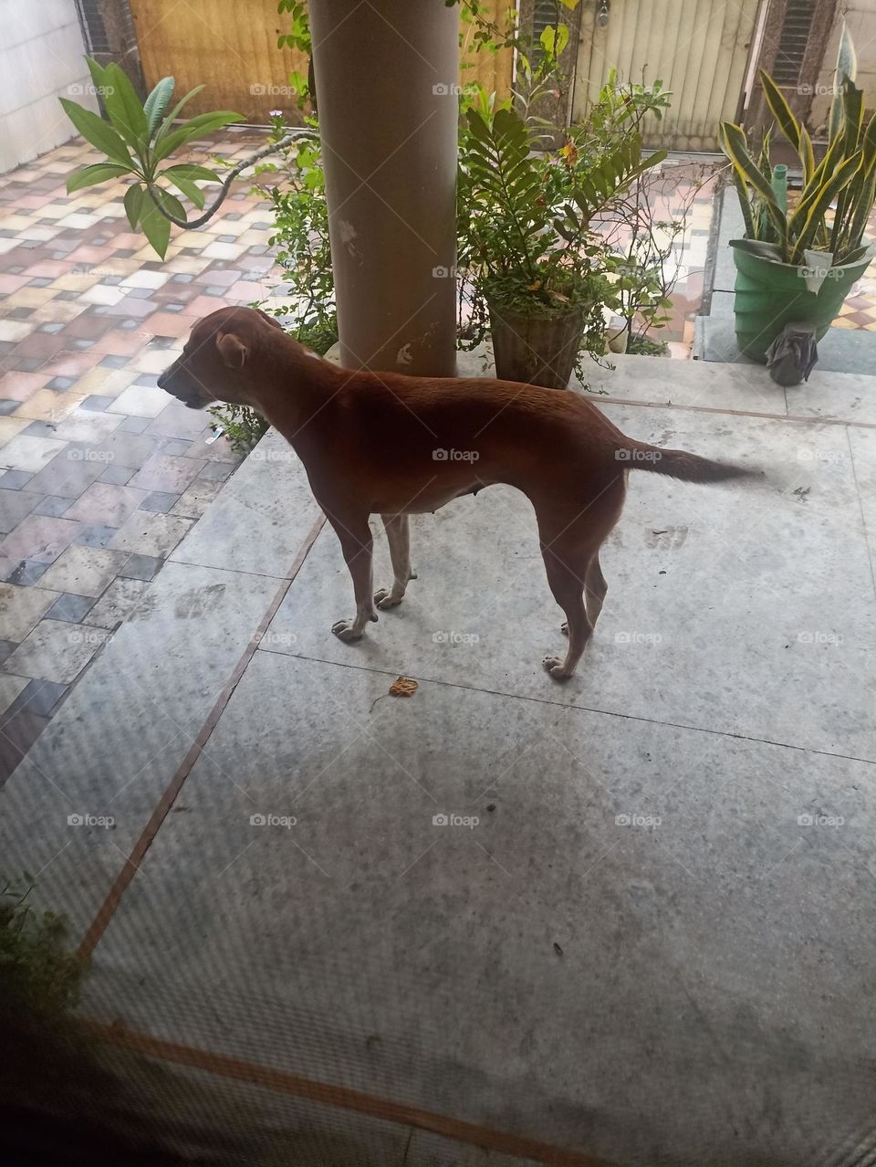 my morning started like this