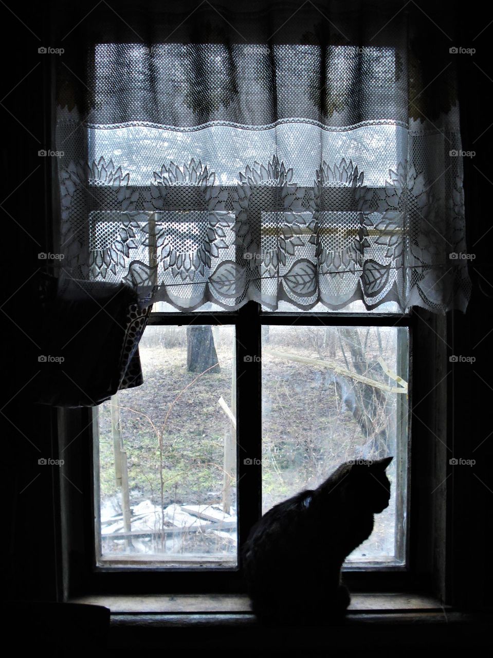 Window in an old country house. The cat is looking out of the window. Silhouette against the light outside the window.