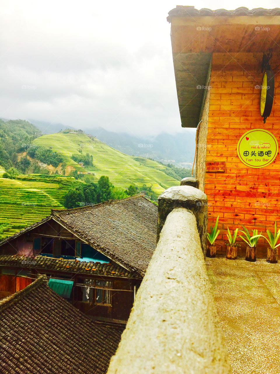 longji rice terrace