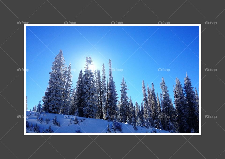 Winter at the Summit. Winter scene near Rabbit Ears pass in Colorado 