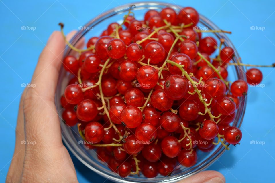 Close-up of hand holding red grape bowl