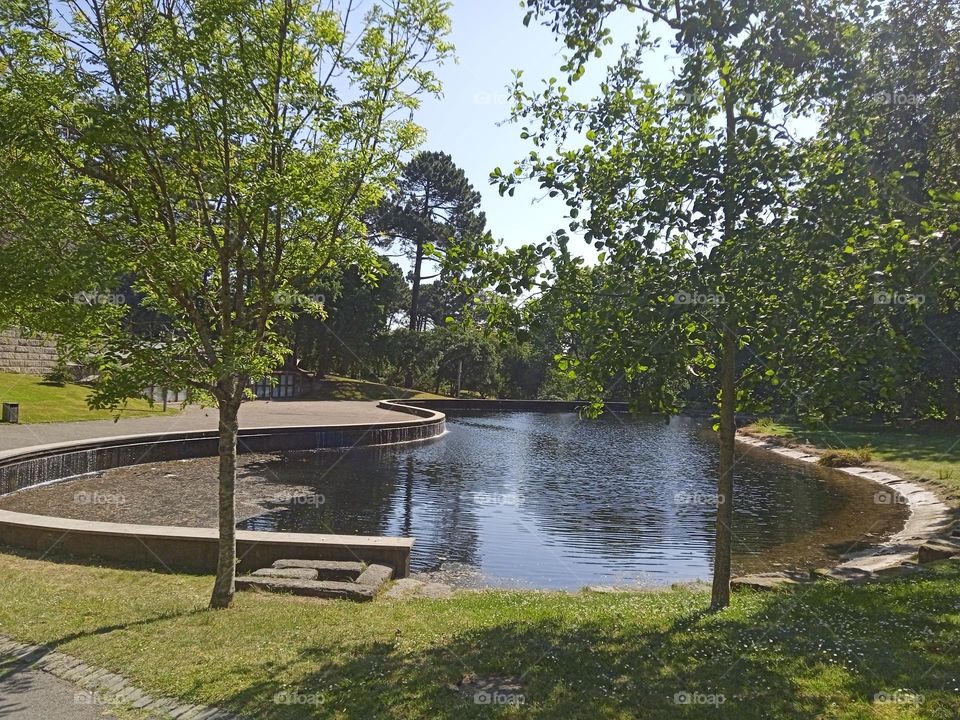 lac in a Park at Porto