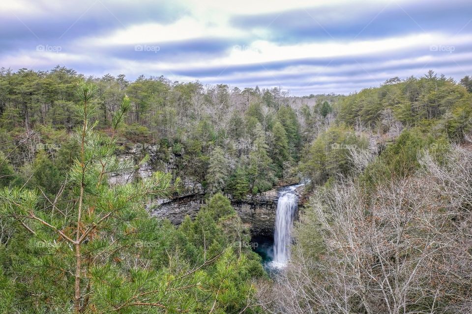 Foster Fall. Tennessee. 