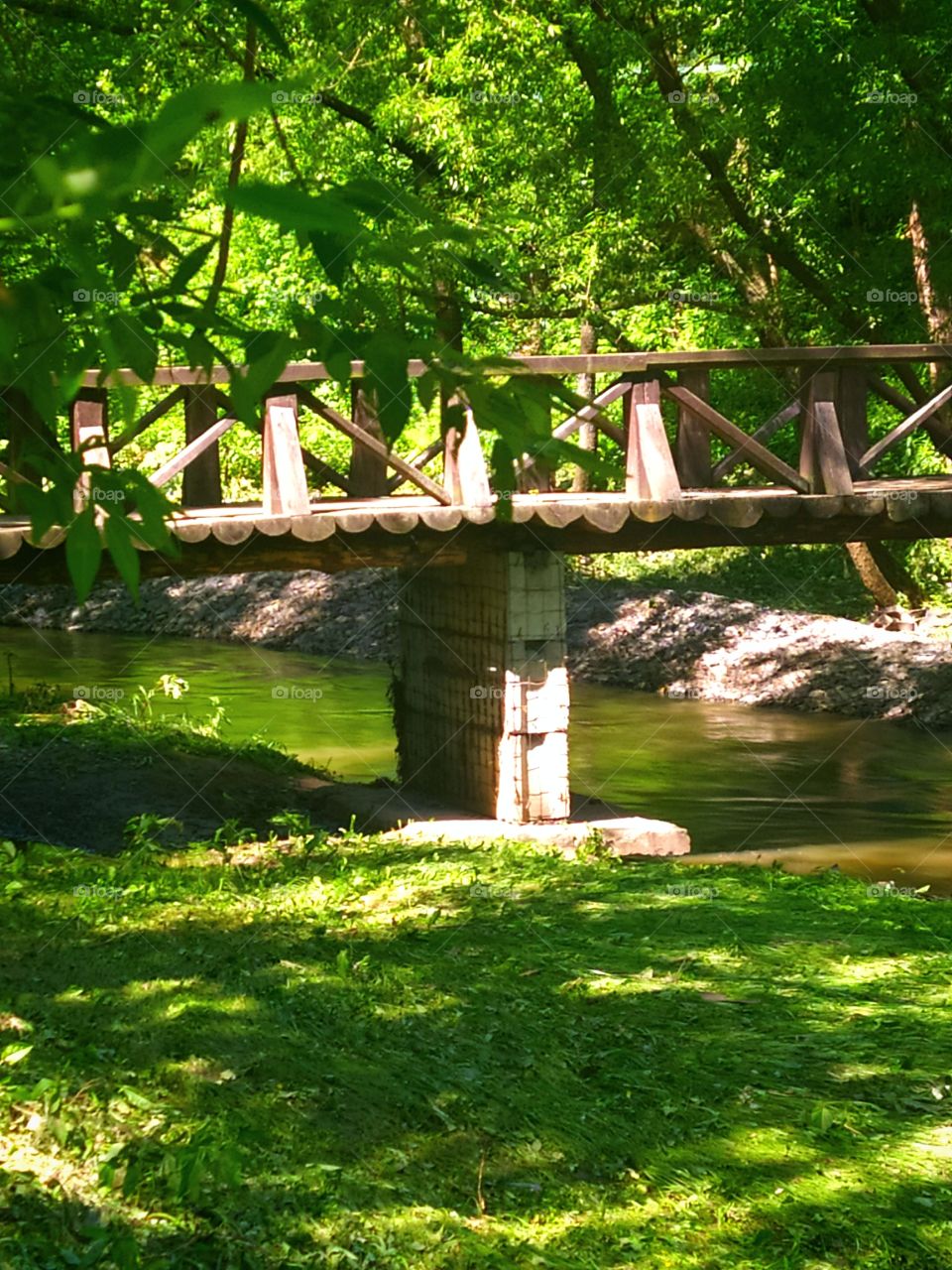Wooden bridge over a river that flows along the forest