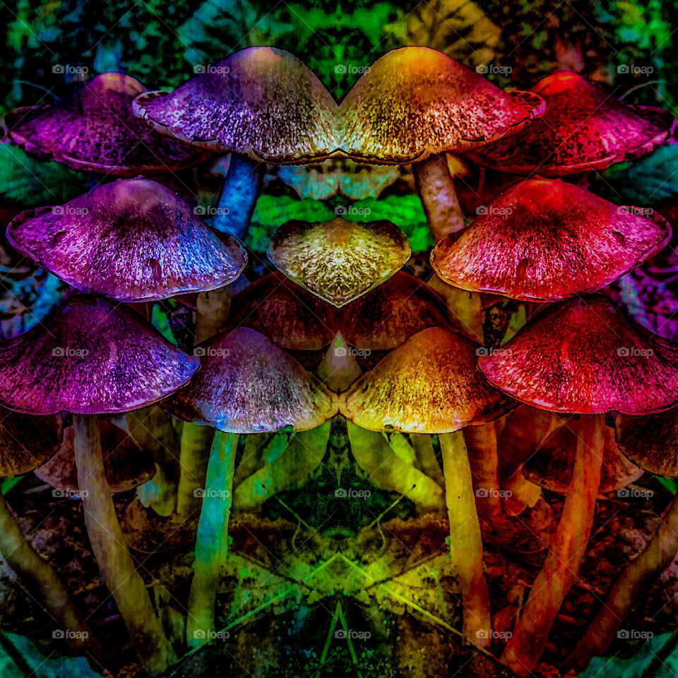 Psychedelic mushroom design