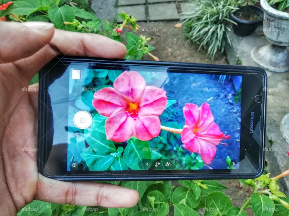 picture of the phone  to phone