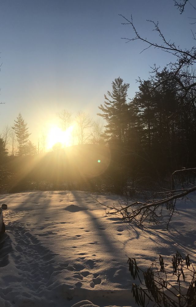 Morning sun