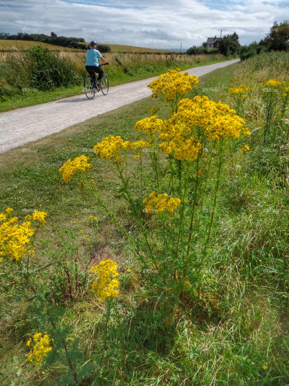 Cycling