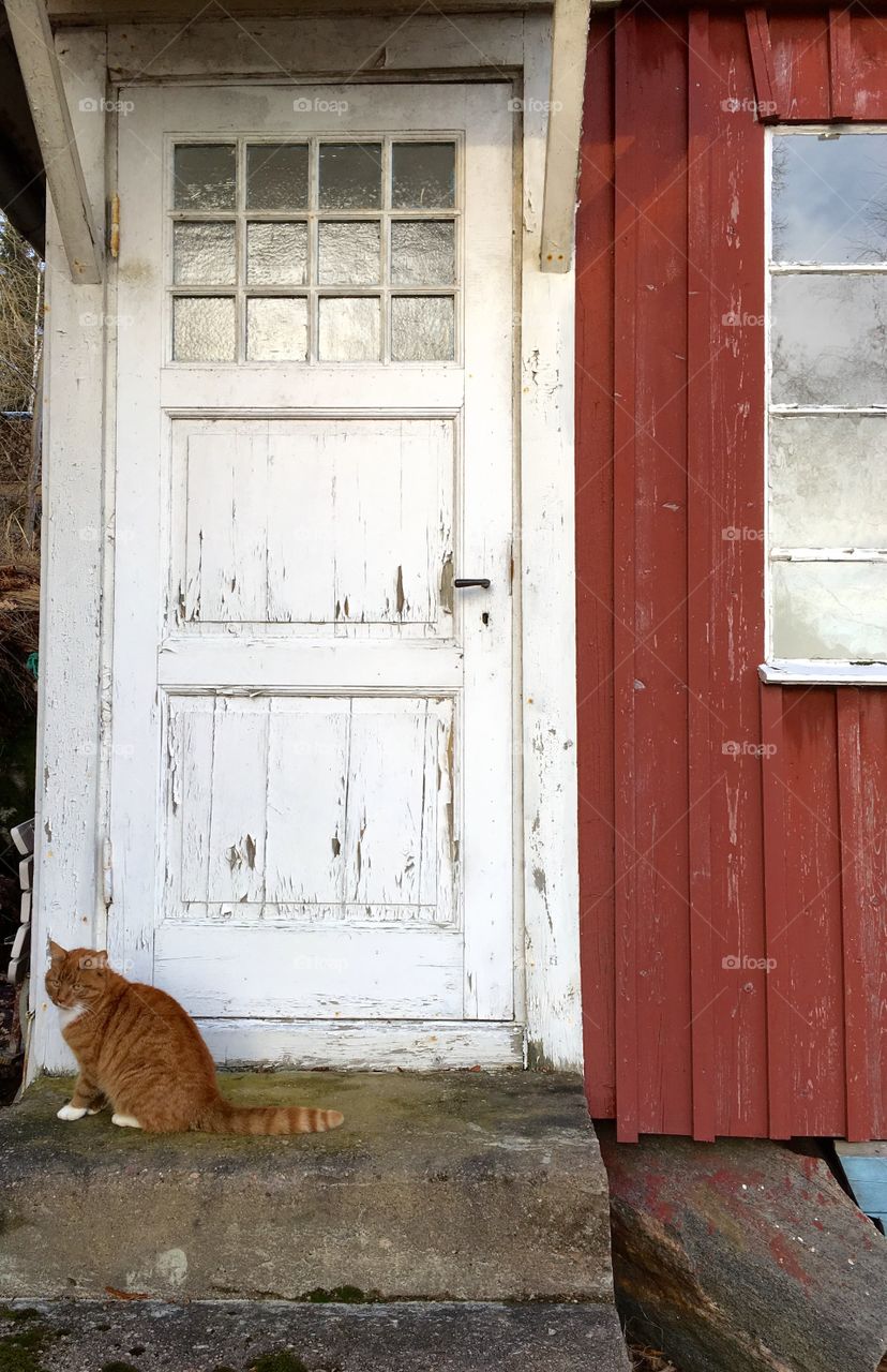 White door