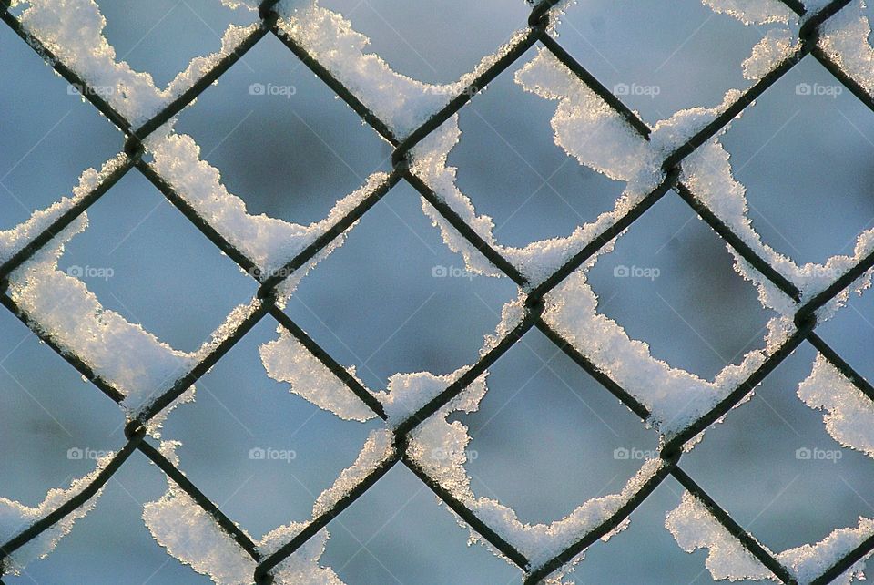 Close-up of snow on fence