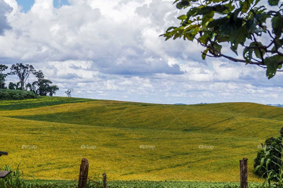 campo e lavoura