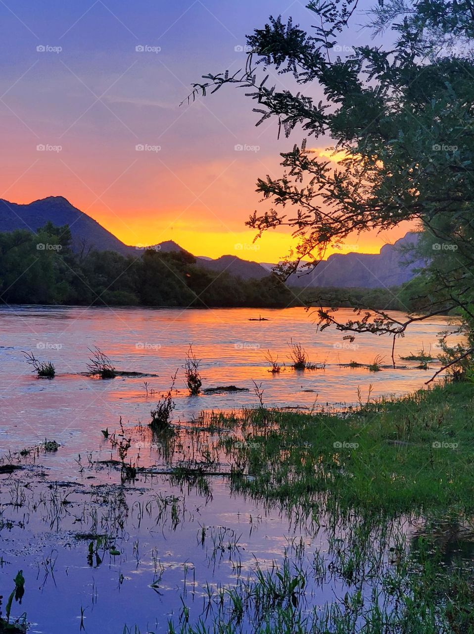 Sunrise at the Salt River
