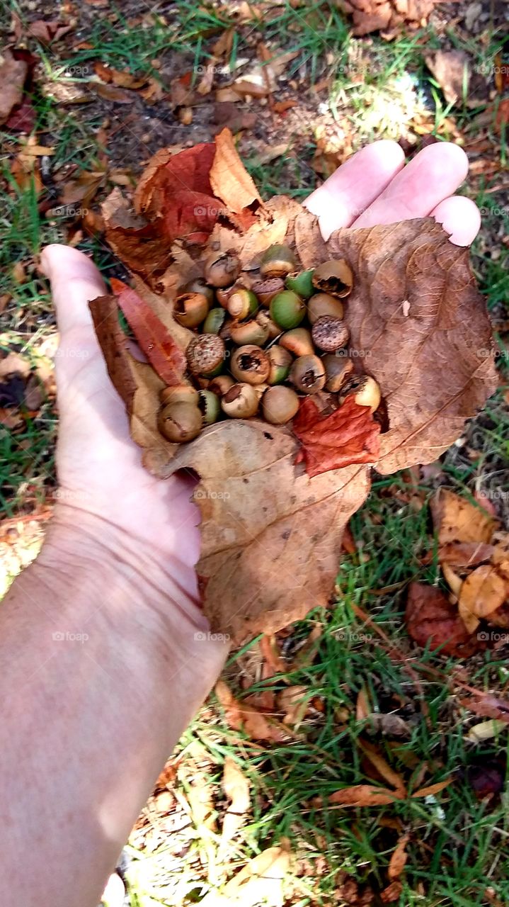 handful of nuts!