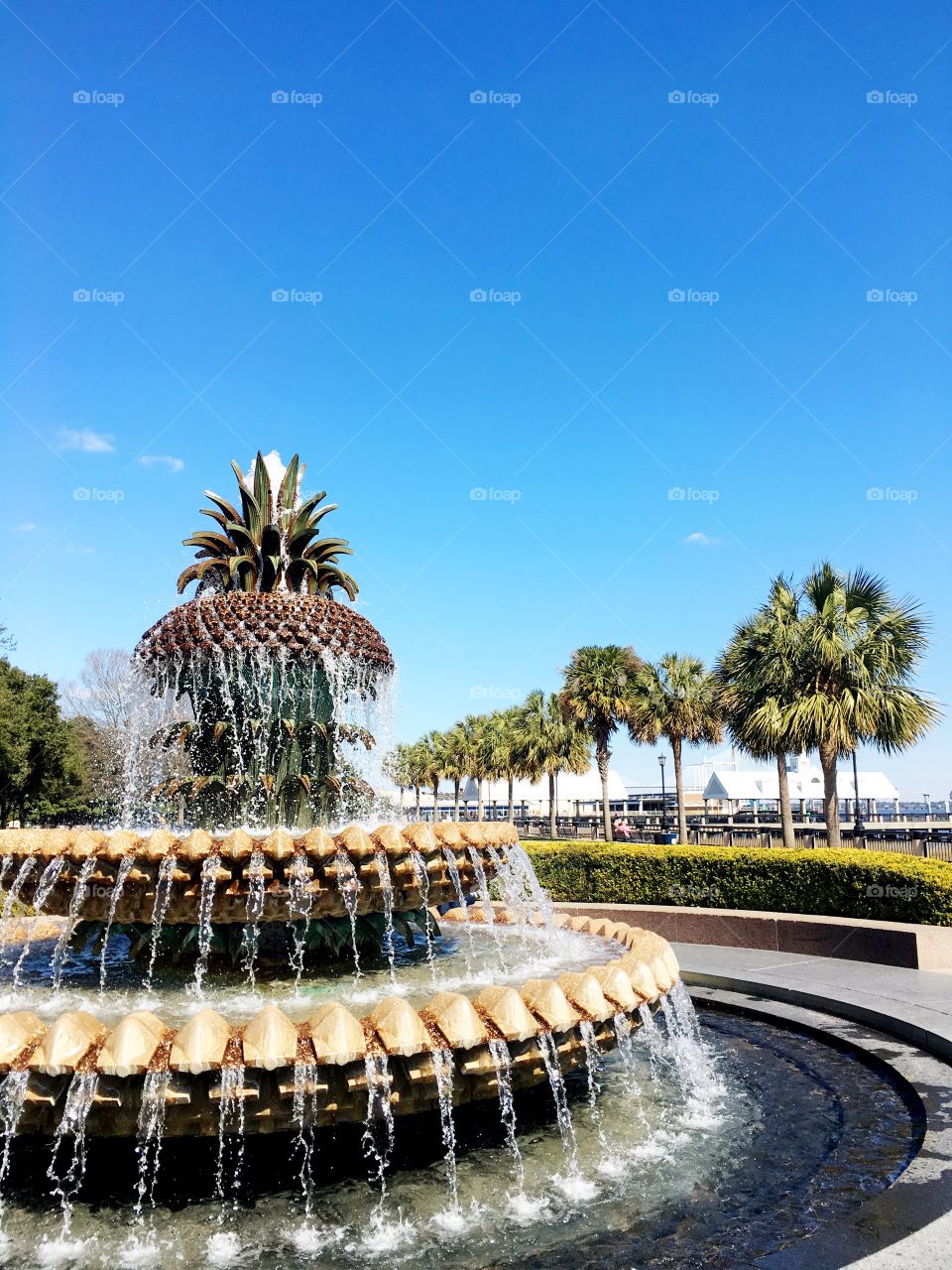 Pineapple Fountain // Charleston, SC