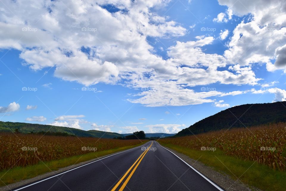 Rural Road in New York State 